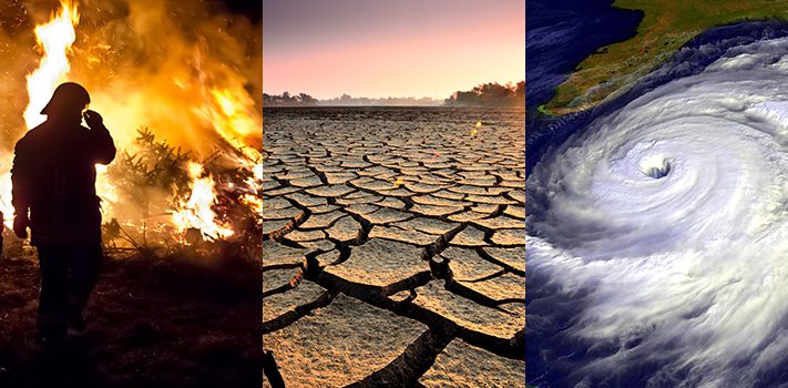 The changes brought by climate change