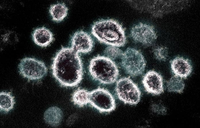 Coronavirus spreads quickly, before people show symptoms, Study Says