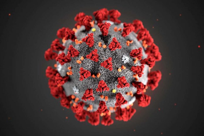 Transmission of Corona Virus - Infomance 5 Transmission of Corona Virus