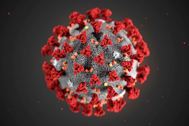 Transmission of Corona Virus
