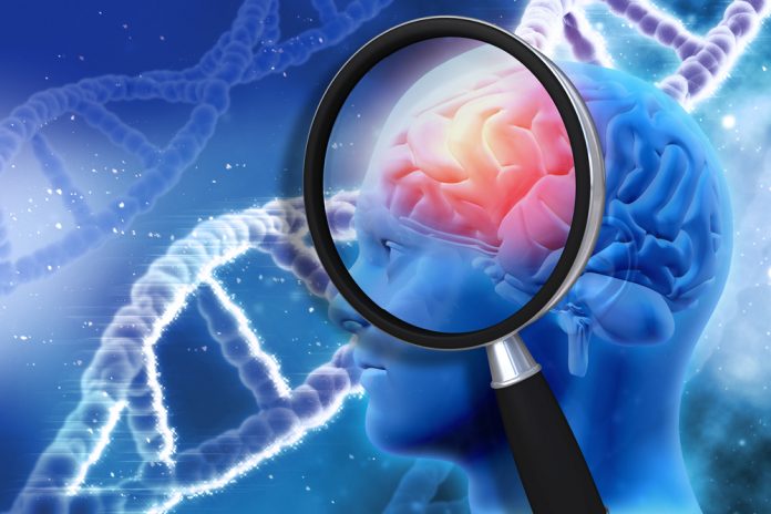 Cool Brain Research - Infomance 4 Cool Brain Research
