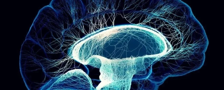 Can consciousness be explained by quantum physics?