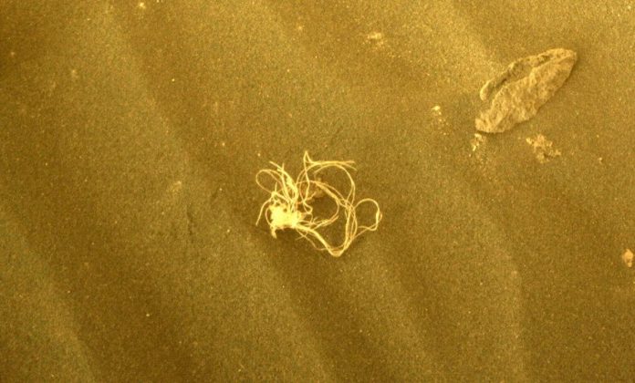 Noodle-Like Object Spotted On Mars, Leaves Scientists Intrigued-infomance