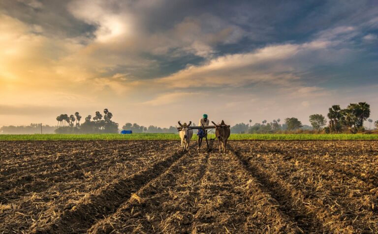 The future viewpoint of Asia’s farming area and its sustainability and labor issues