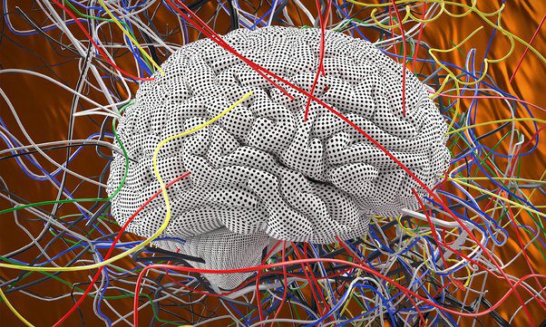 Our brain may be using quantum computation and it’s baffling