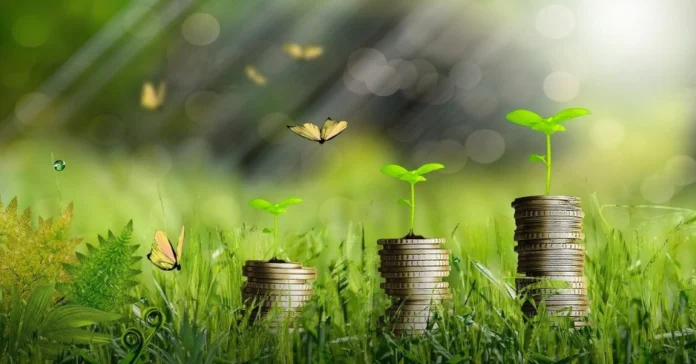 Avaana Capital Closes Climate Fund At $135 Mn Infomance Avaana Capital Closes Climate Fund At $135 Mn